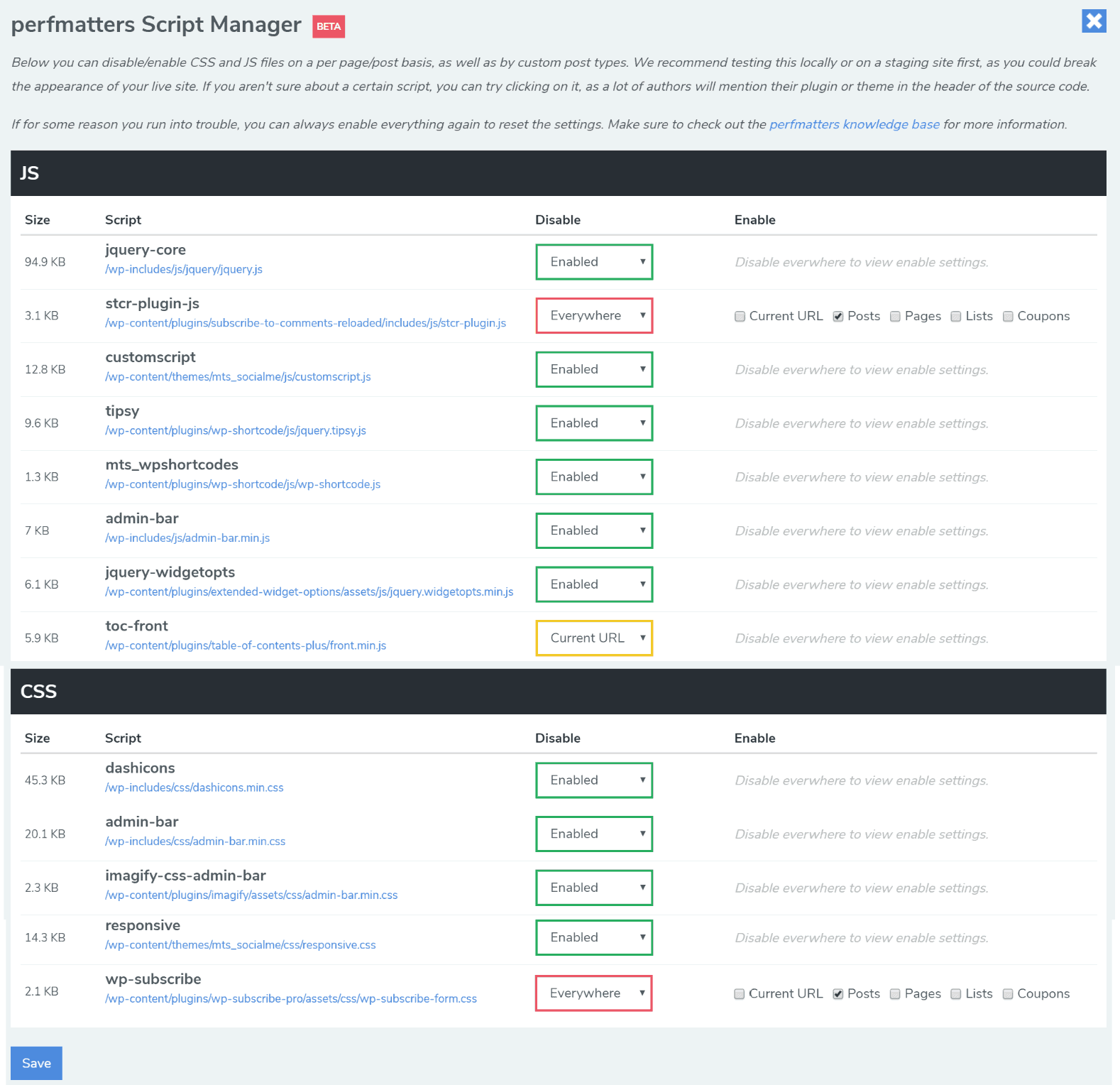 perfmatters plugin Scripts Manager