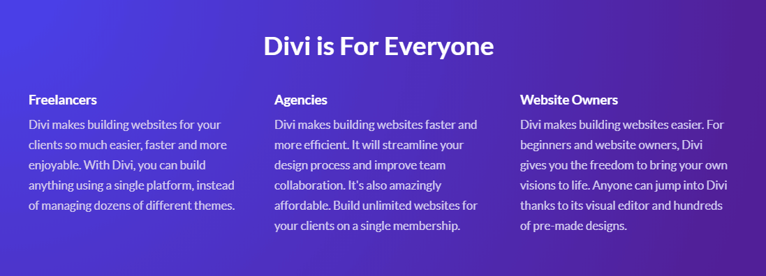 divi theme for all