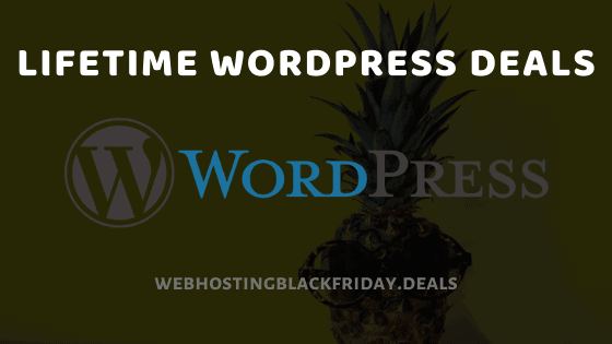 Lifetime WordPress Plugin & Theme Deals