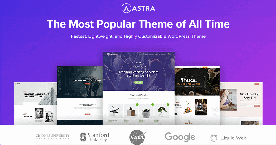 Astra Premium WordPress Theme (Lifetime Access)